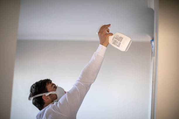 Best Mold Removal Company Near Me  in Hays, KS