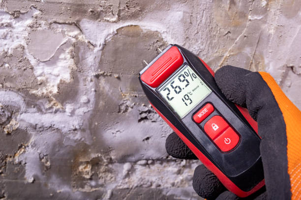 Best Certified Mold Removal  in Hays, KS